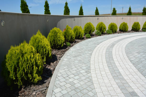 Best Driveway Repair Near Me  in Arvin, CA